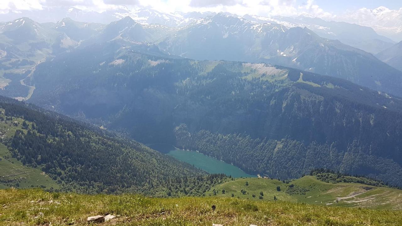 Appartement Proche Morzine Centre Et Remontees Mecaniques - Oree De Morzine 24A 蒙特里永 外观 照片